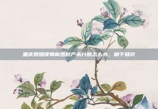 重慶婚姻律師離婚財產(chǎn)未分割怎么辦,相干知識