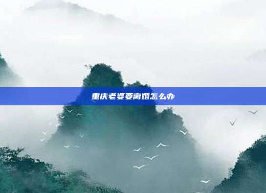 重慶老婆要離婚怎么辦