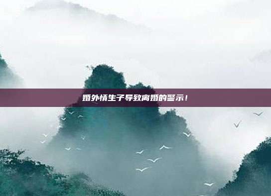 婚外情生子導致離婚的警示!