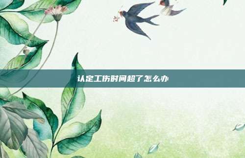 認(rèn)定工傷時間超了怎么辦
