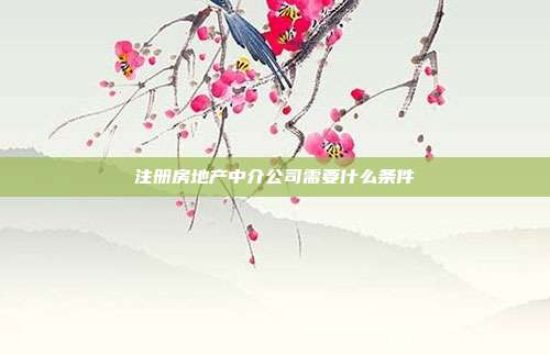 注冊房地產中介公司需要什么條件