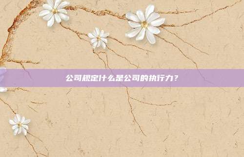 公司規定什么是公司的執行力?