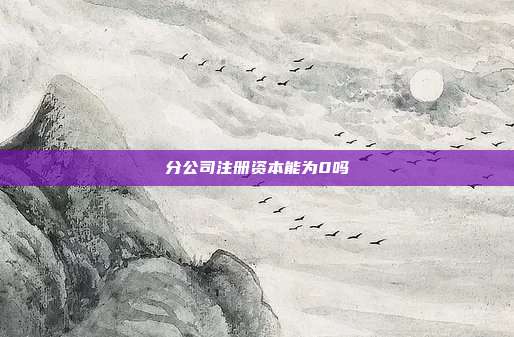 分公司注冊資本能為0嗎