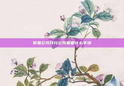 貿易公司開分公司需要什么手續