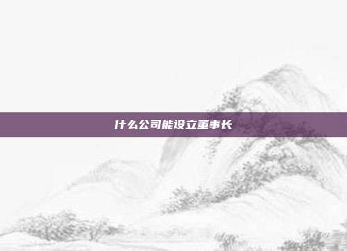 什么公司能設立董事長