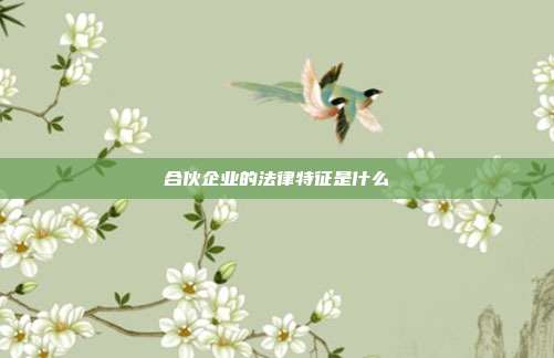 合伙企業(yè)的法律特征是什么