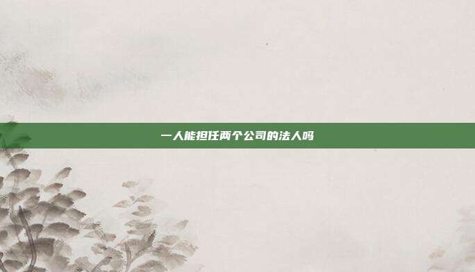 一人能擔(dān)任兩個(gè)公司的法人嗎