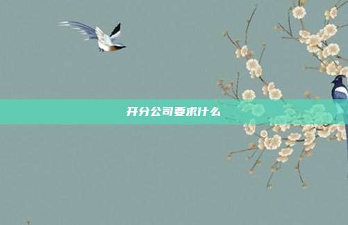 開(kāi)分公司要求什么