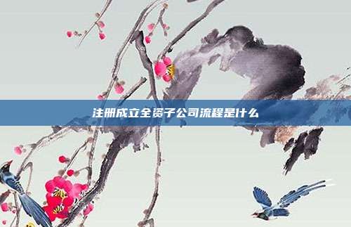 注冊成立全資子公司流程是什么