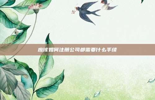 應(yīng)該如何注冊(cè)公司都需要什么手續(xù)