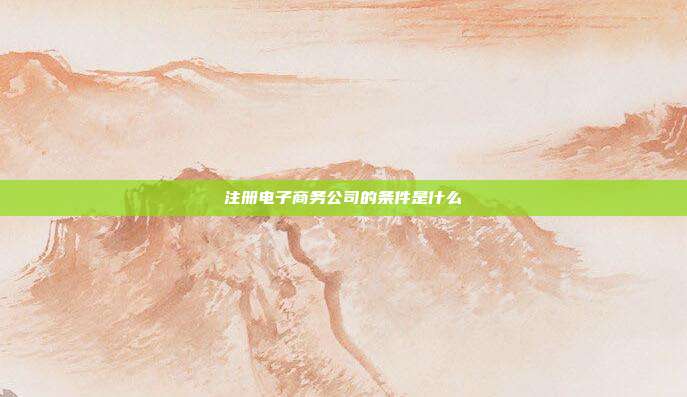 注冊電子商務(wù)公司的條件是什么
