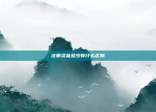 注冊(cè)資金多少有什么區(qū)別