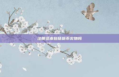 注冊資本包括貨幣實物嗎