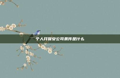 個(gè)人開保安公司條件是什么
