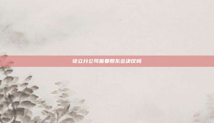 設(shè)立分公司需要股東會決議嗎