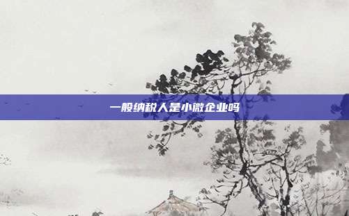 一般納稅人是小微企業嗎