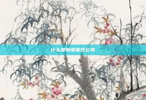 什么是有限責任公司