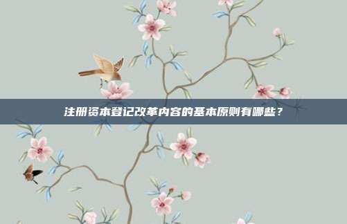 注冊資本登記改革內容的基本原則有哪些？