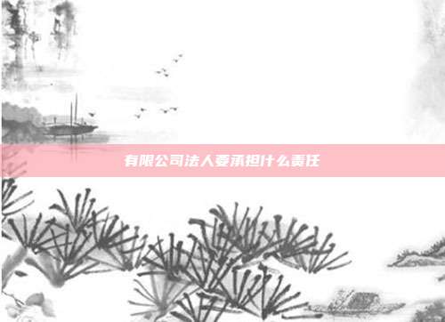 有限公司法人要承擔(dān)什么責(zé)任