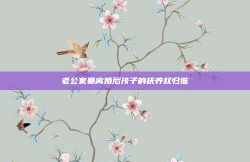 老公家暴離婚后孩子的撫養(yǎng)權(quán)歸誰