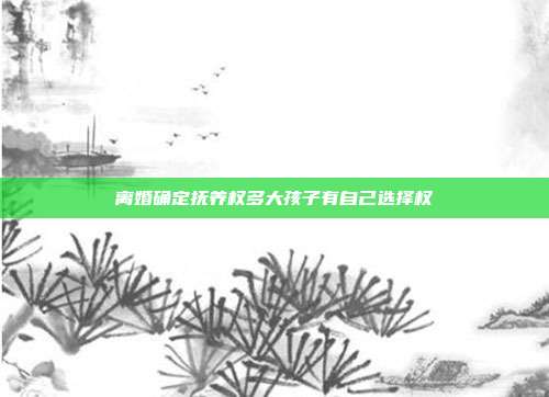 離婚確定撫養權多大孩子有自己選擇權