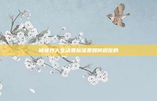 被撫養(yǎng)人生活費標準是如何規(guī)定的