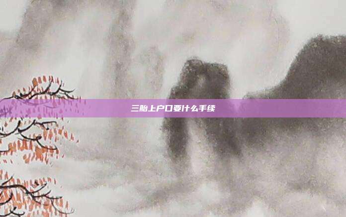 三胎上戶口要什么手續