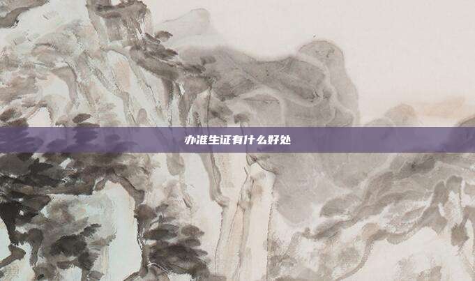 辦準生證有什么好處