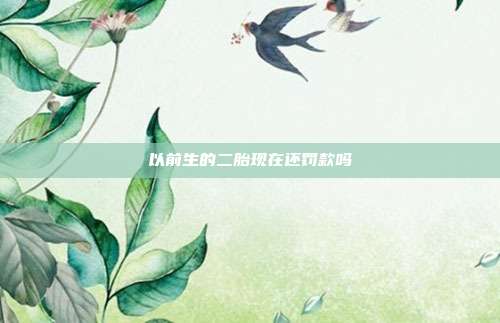 以前生的二胎現在還罰款嗎