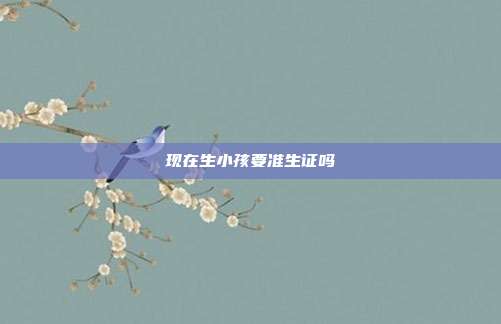 現(xiàn)在生小孩要準生證嗎
