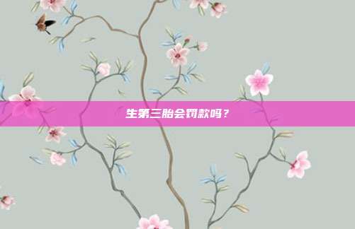 生第三胎會罰款嗎?