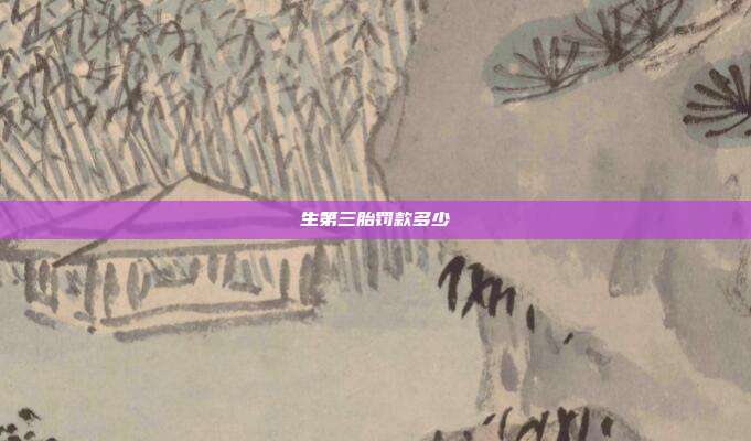 生第三胎罰款多少