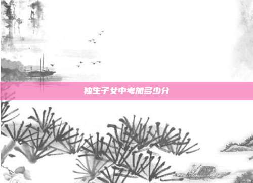 獨生子女中考加多少分