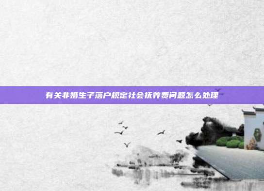 有關(guān)非婚生子落戶規(guī)定社會(huì)撫養(yǎng)費(fèi)問題怎么處理
