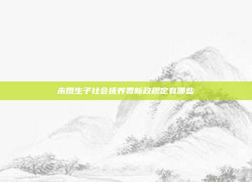 未婚生子社會撫養費新政規定有哪些