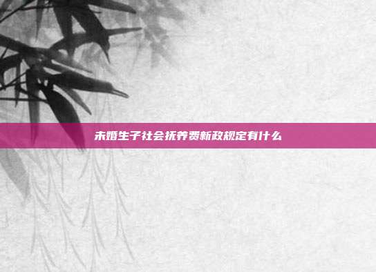 未婚生子社會撫養費新政規定有什么