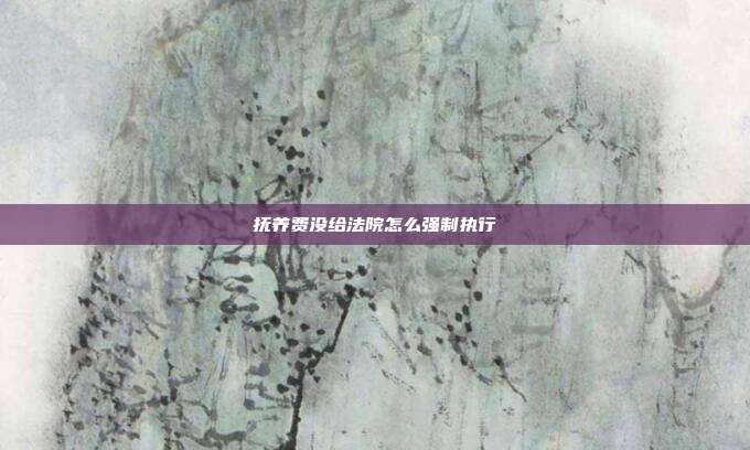 撫養費沒給法院怎么強制執行