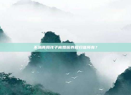 不滿兩周孩子離婚撫養權歸誰所有？