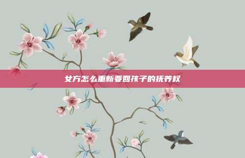 女方怎么重新要回孩子的撫養(yǎng)權(quán)