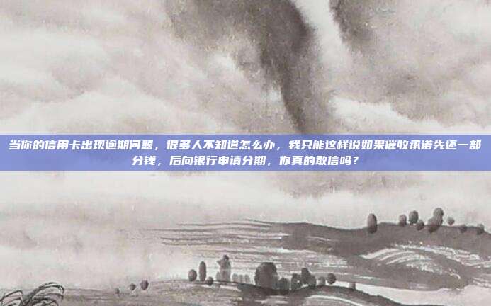 當你的信用卡出現逾期問題,很多人不知道怎么辦,我只能這樣說如果催收承諾先還一部分錢,后向銀行申請分期,你真的敢信嗎?