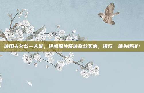 信用卡欠款一大堆，還想保住征信貸款買房，銀行：請先還錢！