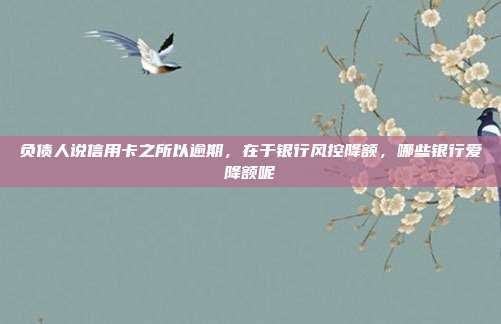 負債人說信用卡之所以逾期,在于銀行風控降額,哪些銀行愛降額呢