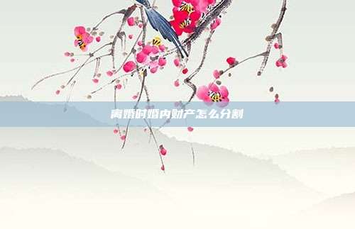 離婚時婚內財產怎么分割