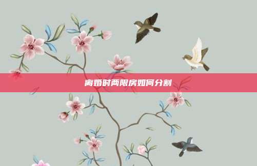 離婚時兩限房如何分割