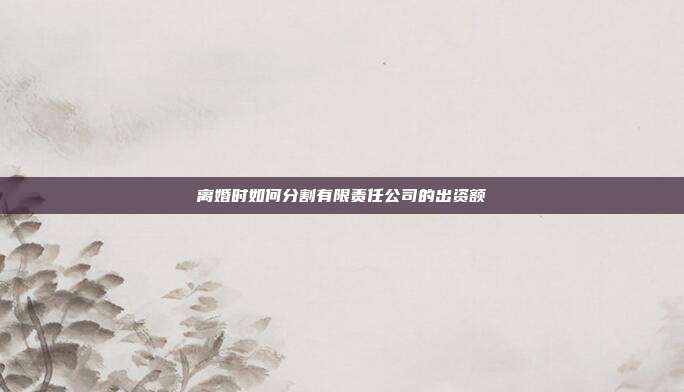 離婚時如何分割有限責任公司的出資額