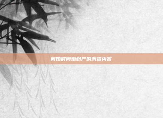離婚時離婚財產的調查內容