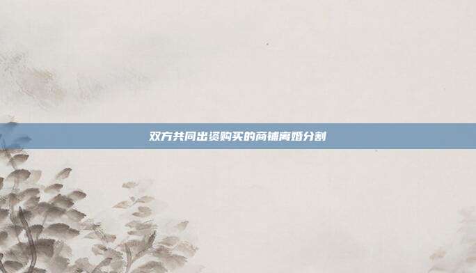 雙方共同出資購買的商鋪離婚分割