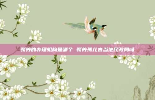 領養的辦理機構是哪個 領養孤兒去當地民政局嗎