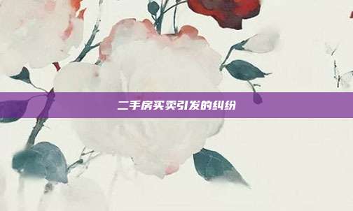 二手房買賣引發(fā)的糾紛