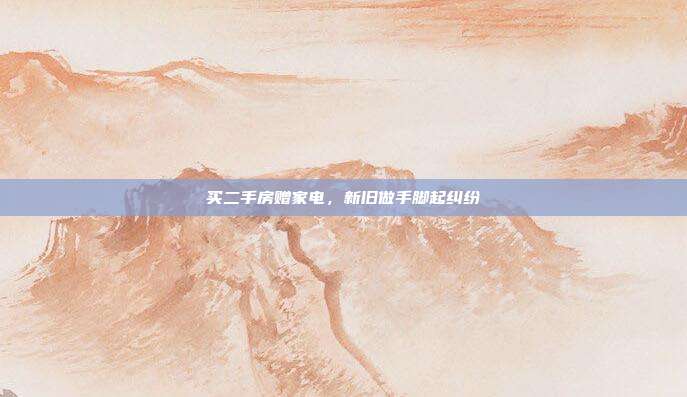 買二手房贈家電,新舊做手腳起糾紛